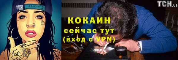 стафф Няндома