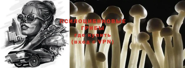 стафф Няндома