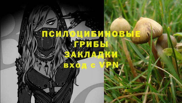 spice Болотное