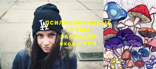 не бодяженный Нязепетровск