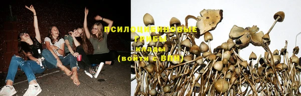 не бодяженный Нязепетровск
