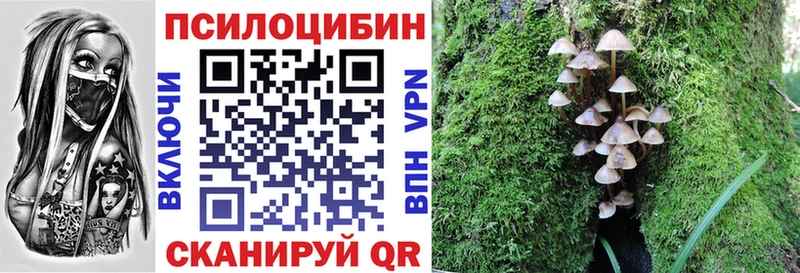 Псилоцибиновые грибы мухоморы OMG онион Николаевск